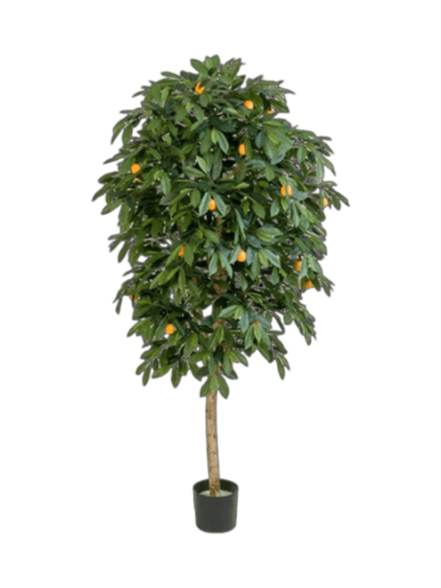 
Plante artificielle réaliste « Citrus Mandarine », différentes tailles - Hauteur 170 cm