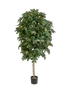 IMAGE for product variant SKU 8CIMARS30