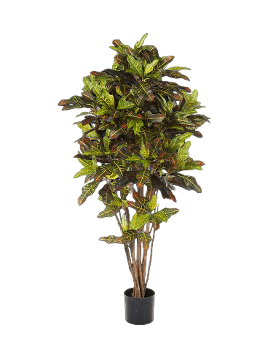 
Pianta artificiale realistica «Croton Exellent Bush», diverse dimensioni - Ø 65 x Altezza 150 cm