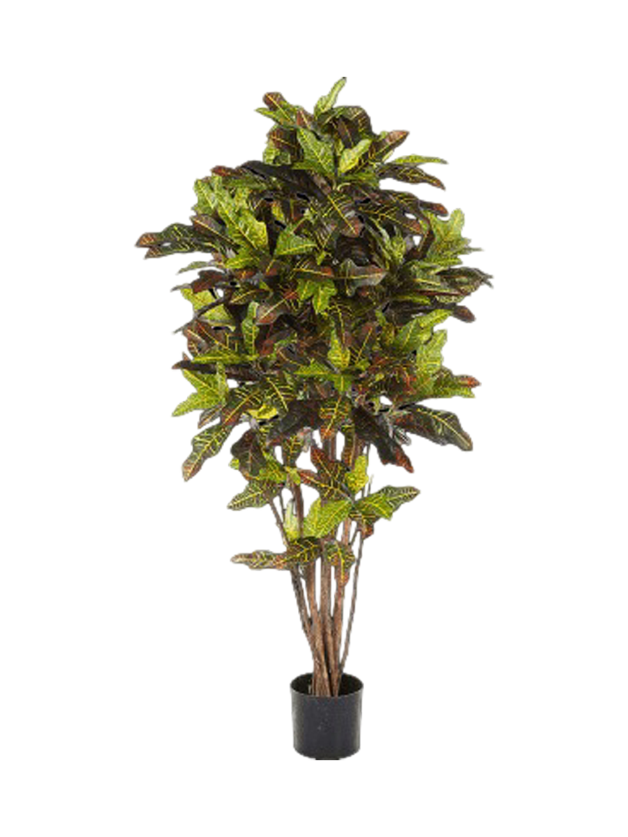 
Pianta artificiale realistica «Croton Exellent Bush», diverse dimensioni - Ø 70 x Altezza 180 cm