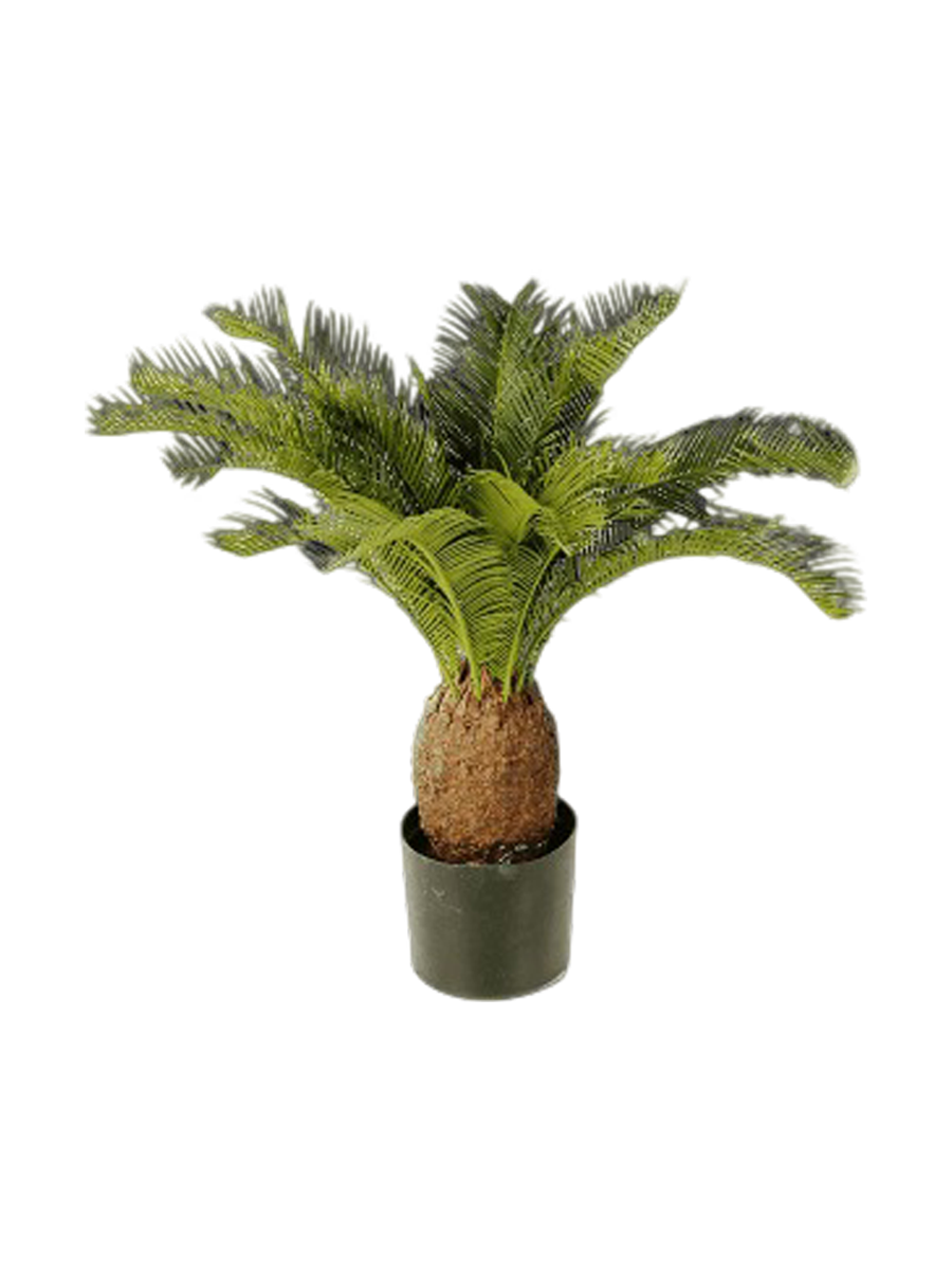 
Pianta artificiale realistica «Cycas Tuff», diverse dimensioni - Ø 70 x Altezza 65 cm