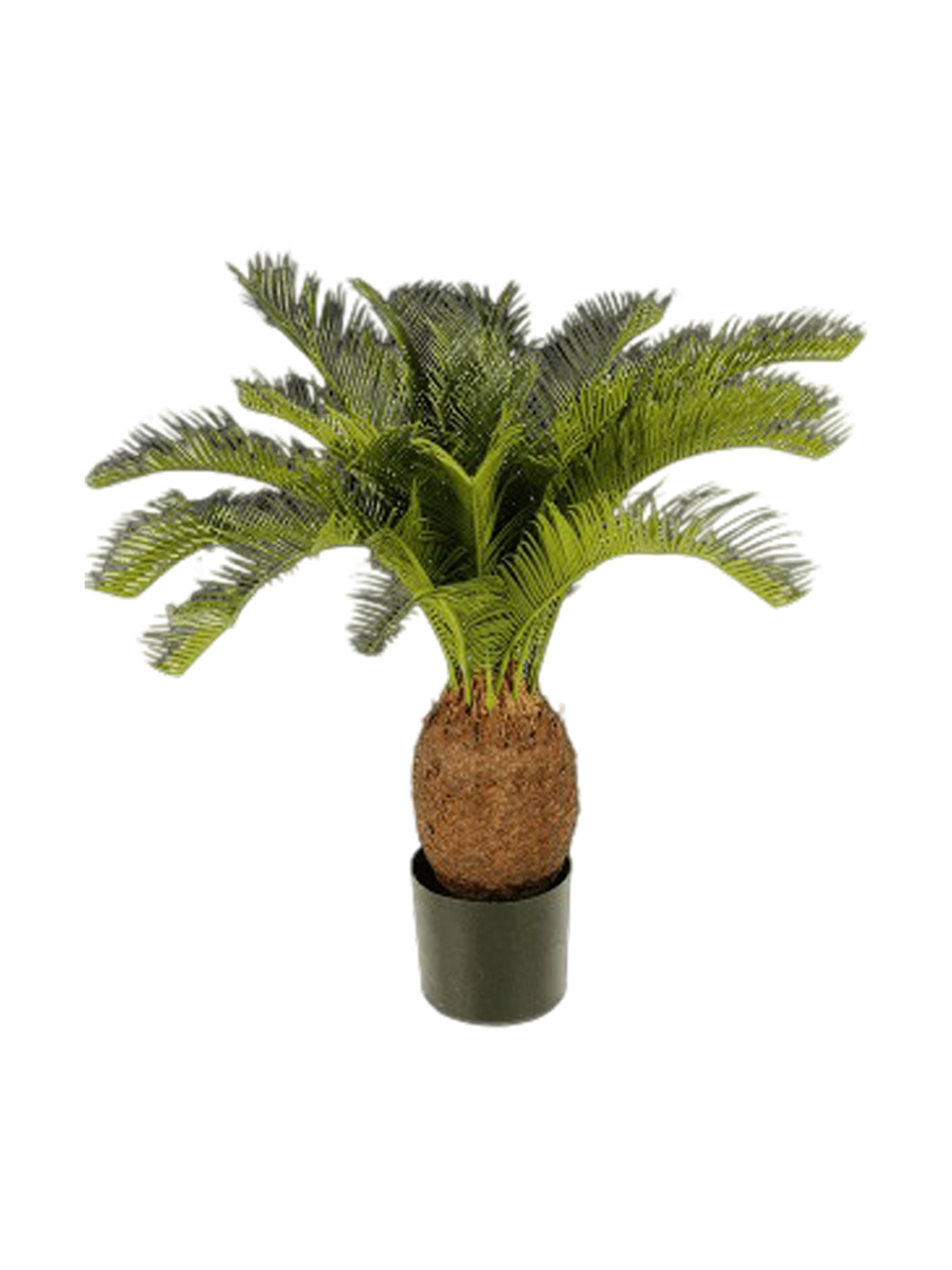 
Pianta artificiale realistica «Cycas Tuff», diverse dimensioni - Ø 80 x Altezza 70 cm