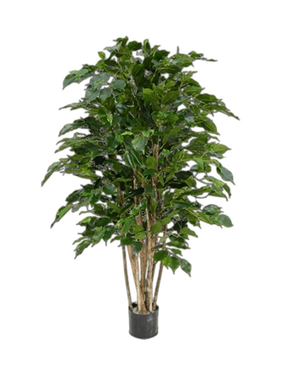 
Plante artificielle réaliste "Ficus Benjamina Exotica" Ø 70 x 120 cm