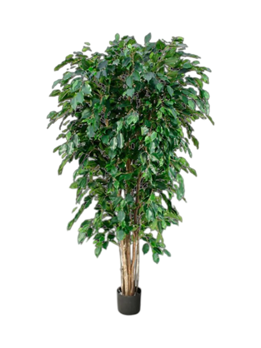 
Plante artificielle réaliste "Ficus Benjamina Exotica XL" Ø 90 x 180 cm