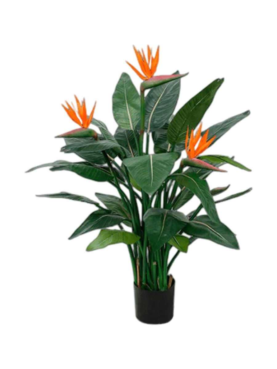 
Plante artificielle ultra-réaliste « Strelitzia Nicolai deluxe », Ø 80 x 115 cm