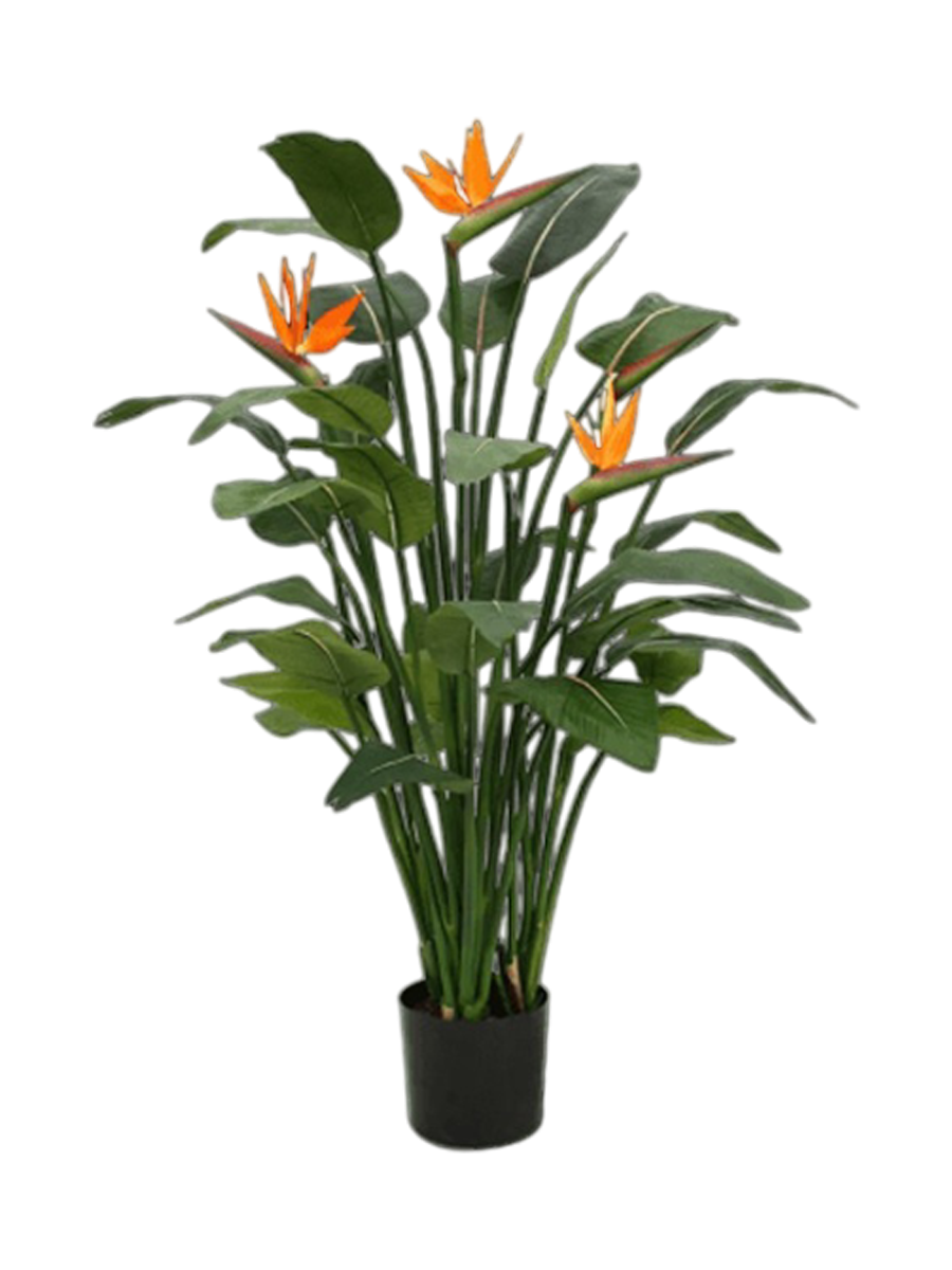 
Plante artificielle réaliste "Strelitzia Nicolai deluxe", Ø 110 x 140 cm