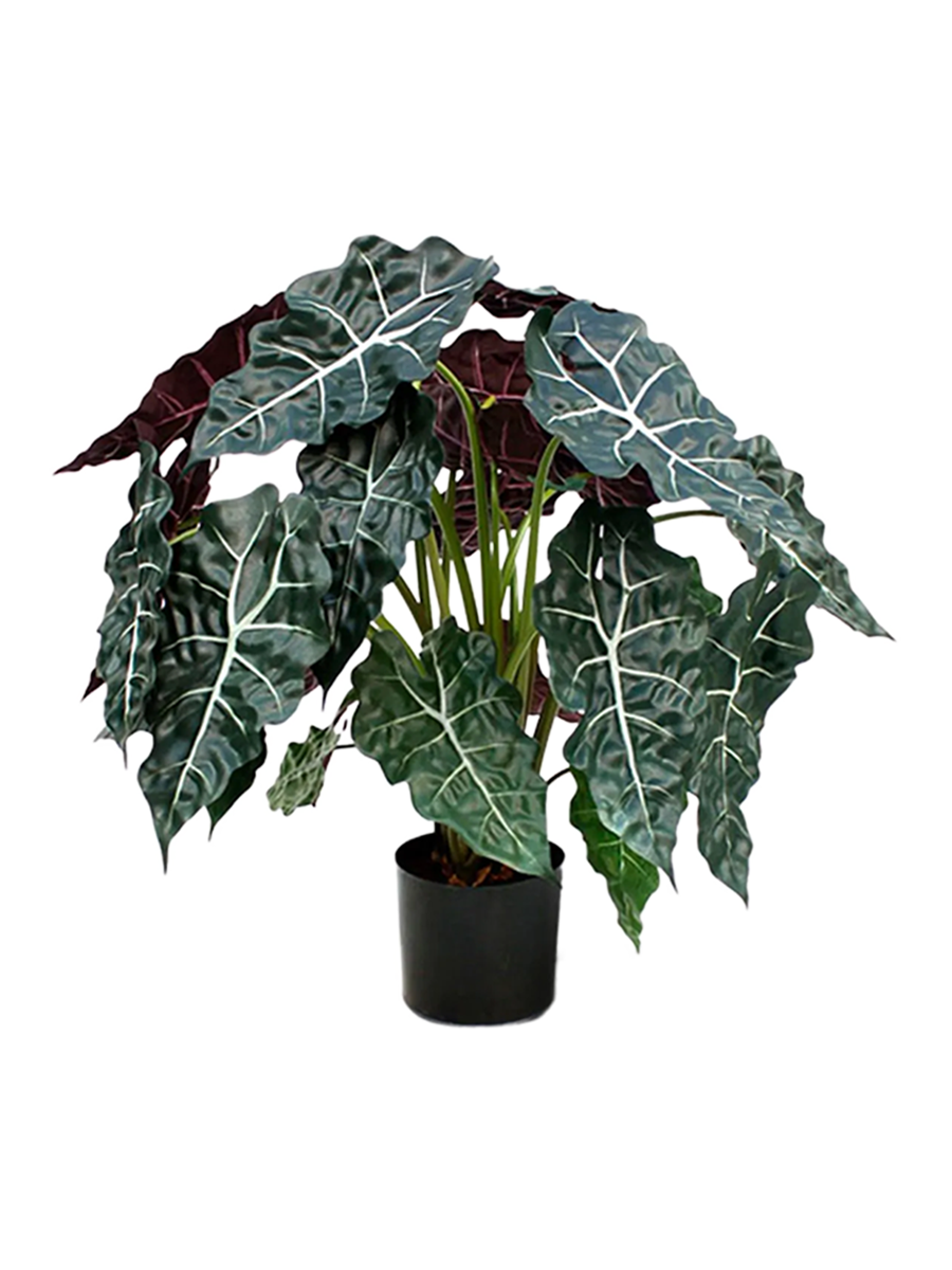 
Plante artificielle réaliste « Alocasia Polly », Ø 80 x 75 cm