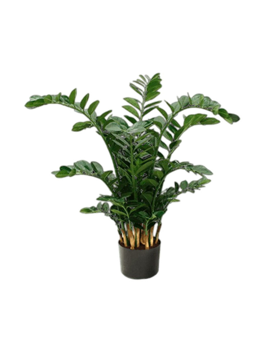
Plante artificielle réaliste "Zamioculcas Zamiifolia", Ø 80 x 115 cm