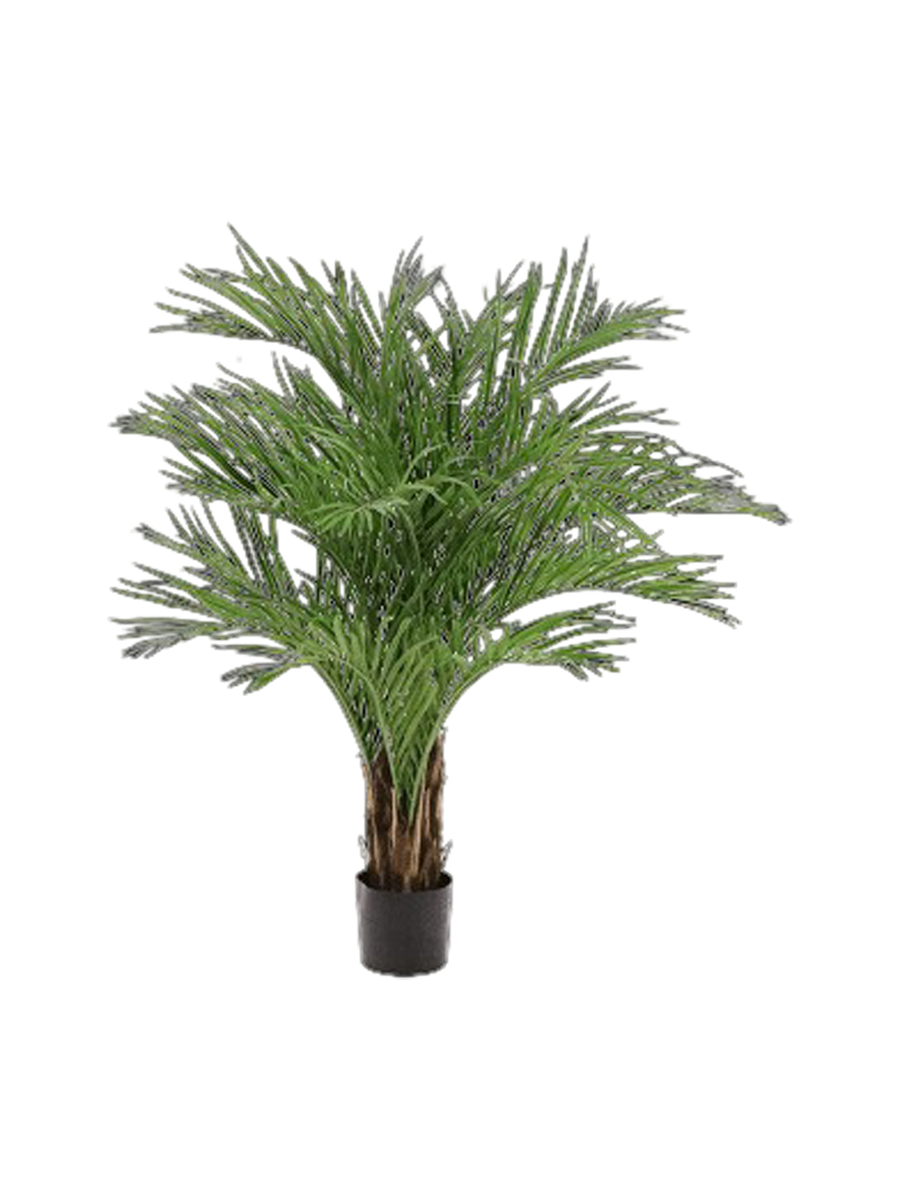 
Pianta artificiale realistica «Dypsis Lutescens», diverse dimensioni - Ø 95 x 150 cm