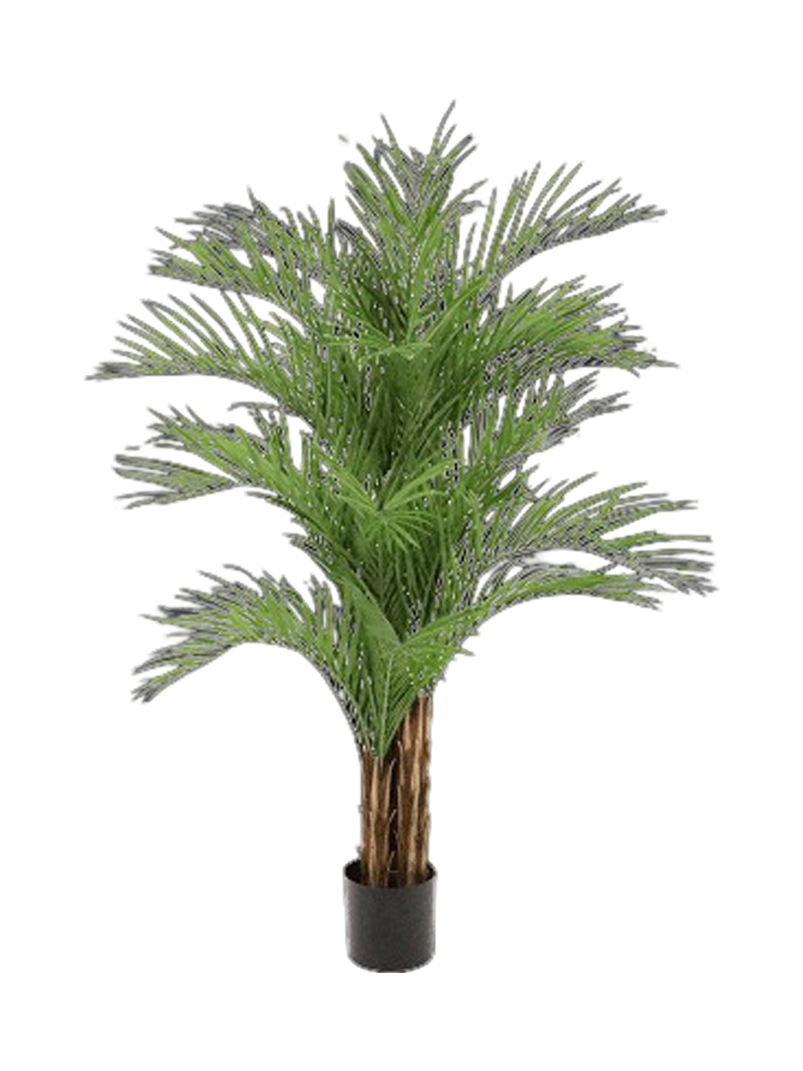 
Pianta artificiale realistica «Dypsis Lutescens», diverse dimensioni - Ø 150 x 210 cm