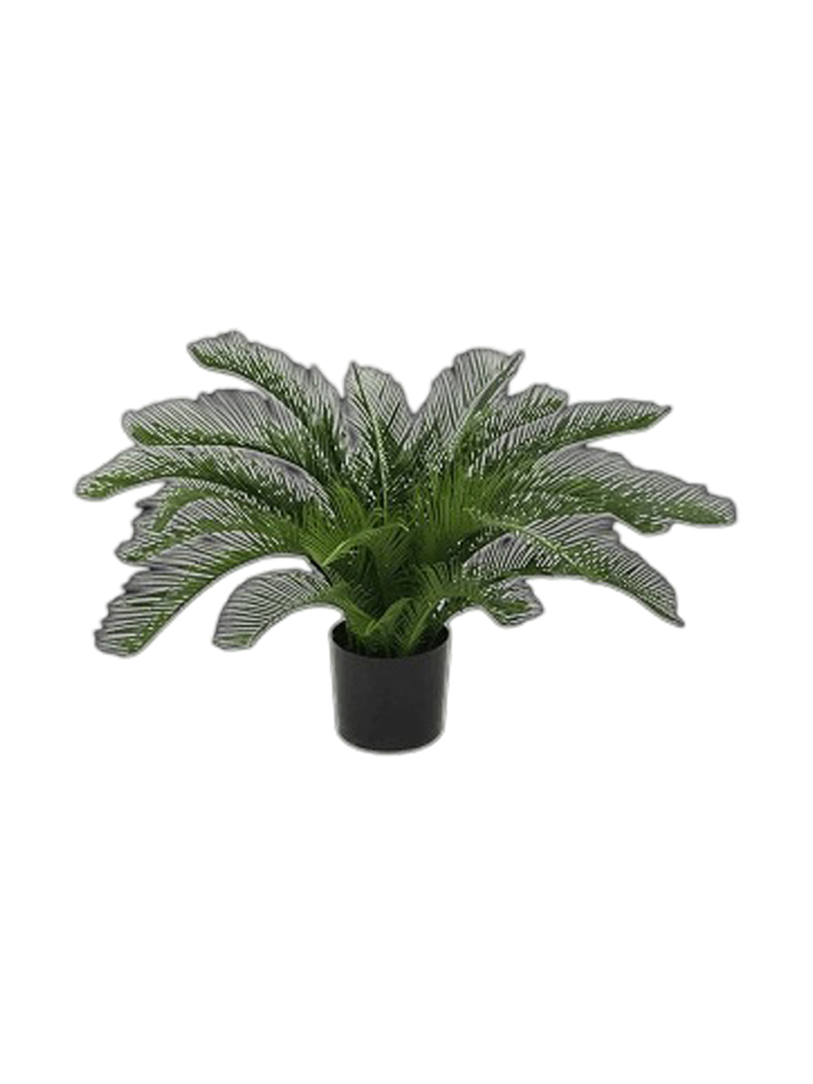 
Pianta artificiale realistica «Cycas Revoluta», diverse dimensioni - Ø 65 x 45 cm