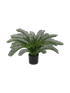 IMAGE for product variant SKU 8DP180106