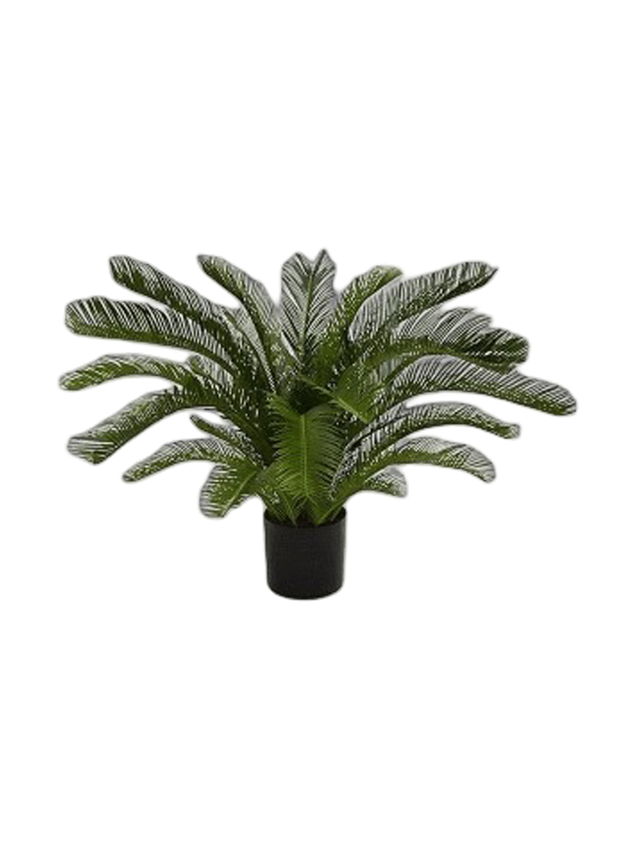 
Pianta artificiale realistica «Cycas Revoluta», diverse dimensioni - Ø 100 x 100 cm