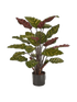 IMAGE for product variant SKU 8DP443506