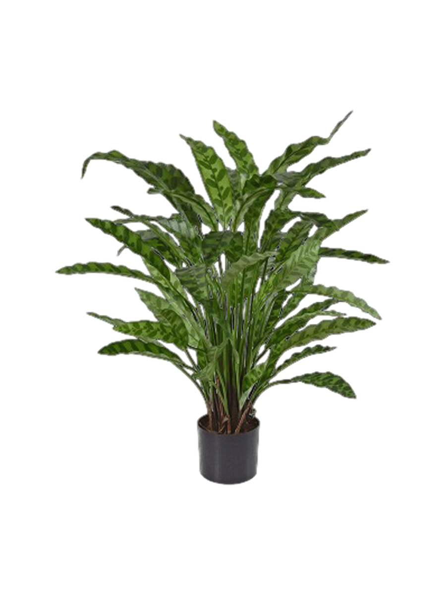
Pianta artificiale dall'aspetto realistico «Calathea Leopardina», diverse dimensioni - Ø 45 x 60 cm
