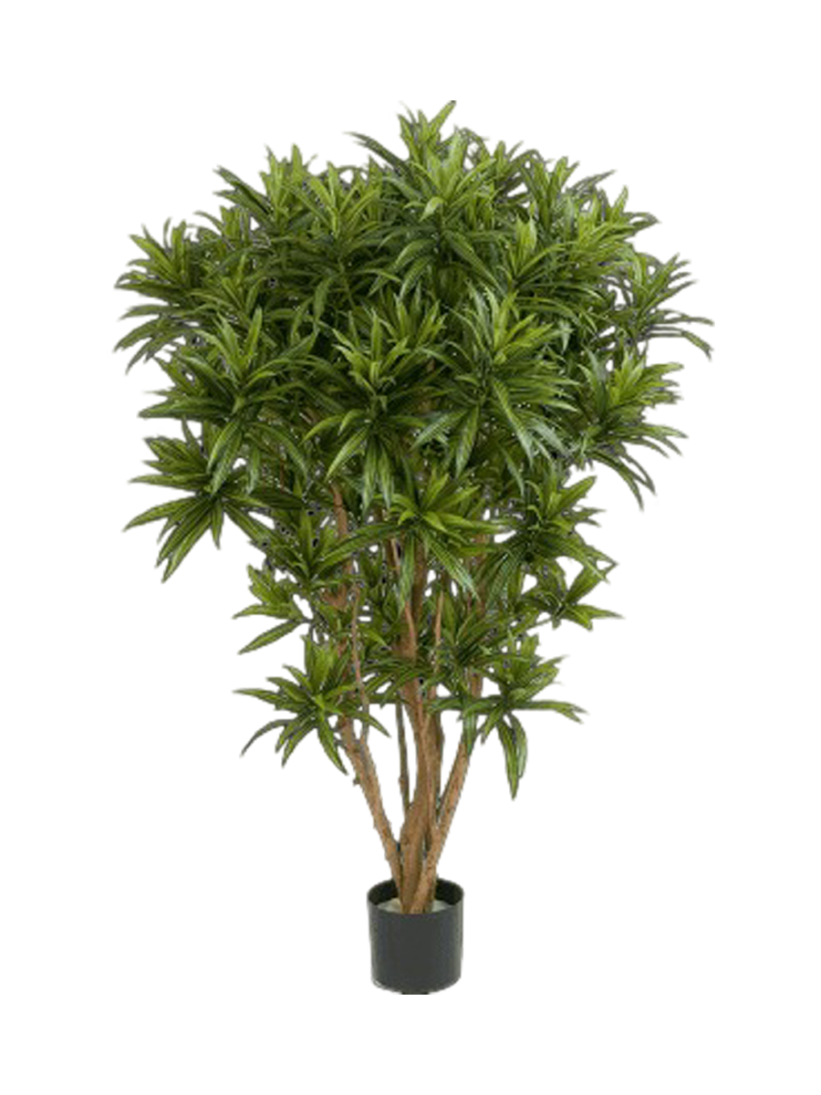 
Plante artificielle plus vraie que nature « Dracanea Reflexa Jamaica »