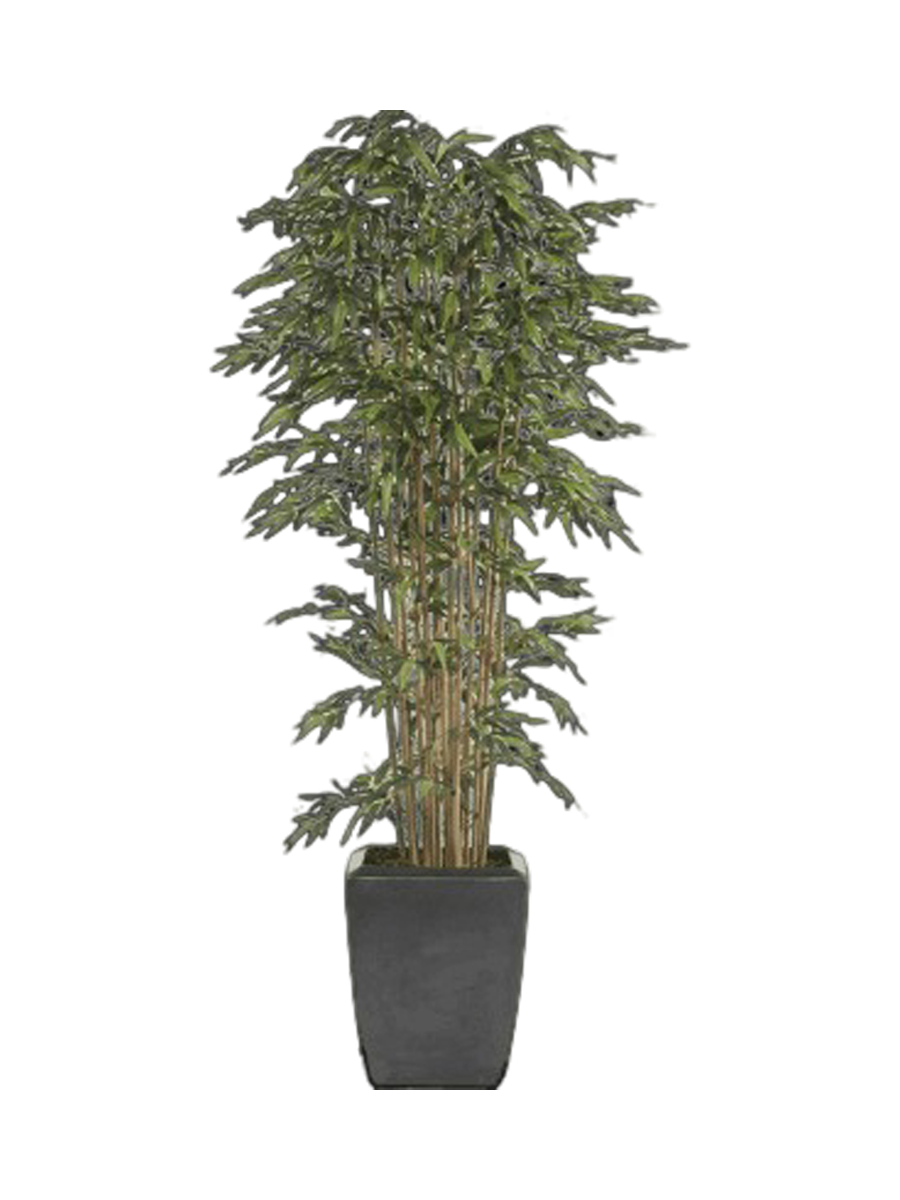 
Pianta artificiale dall'aspetto realistico «Bamboo Bush», Ø 50 x 175 cm