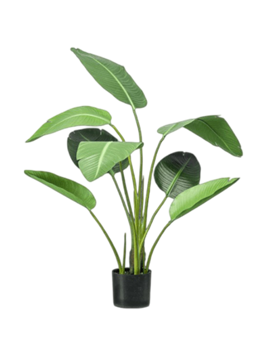 
Plante artificielle réaliste "Strelitzia Tuft", hauteur 120 cm