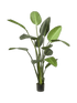 IMAGE for product variant SKU 8EE419841