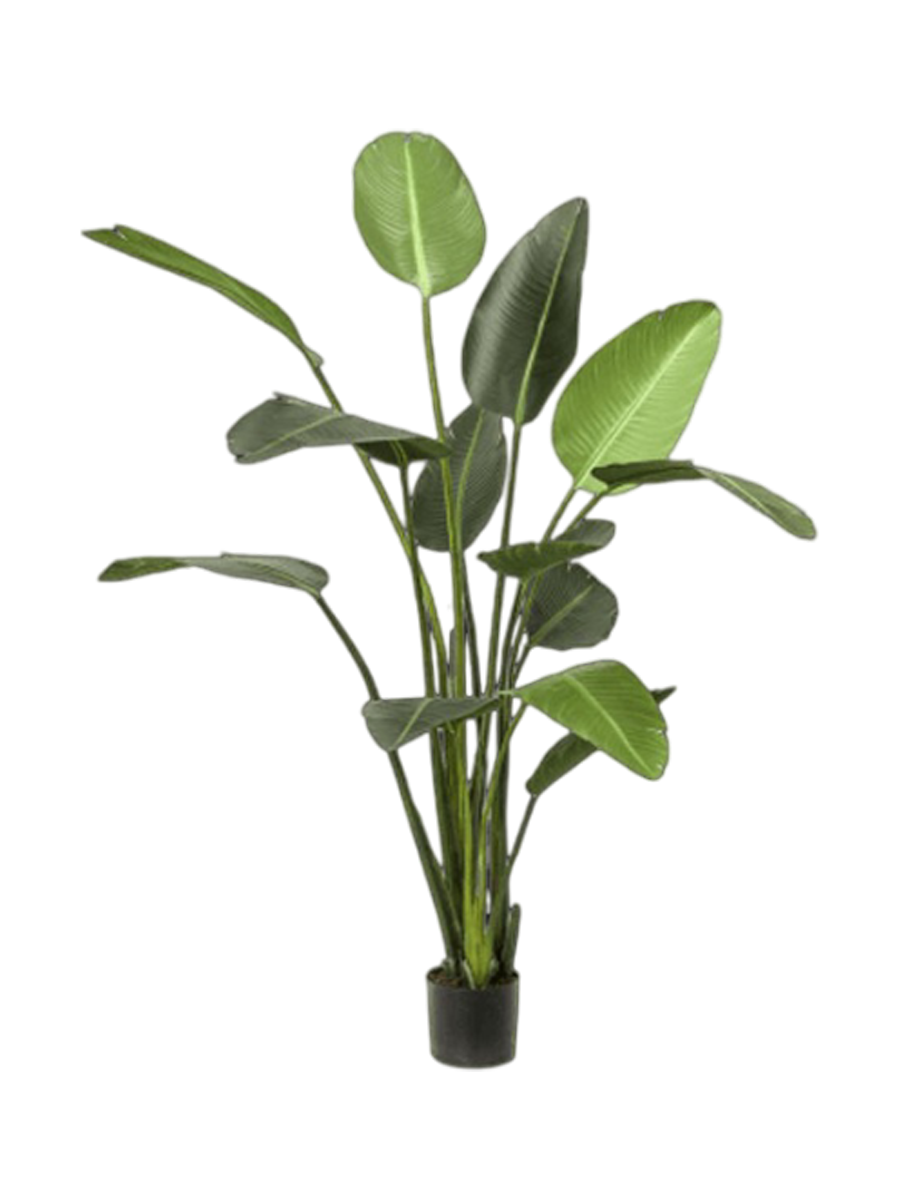 
Plante artificielle réaliste "Strelitzia XL", différentes tailles - Ø 100 x 230 cm