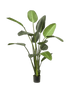 IMAGE for product variant SKU 8EE419842