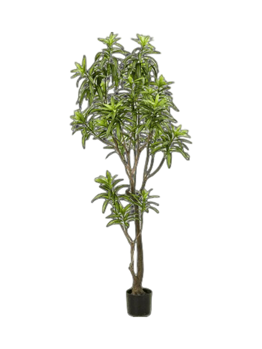 
Pianta artificiale dall’aspetto realistico «Dracanea Tree» Ø 40 x 190 cm