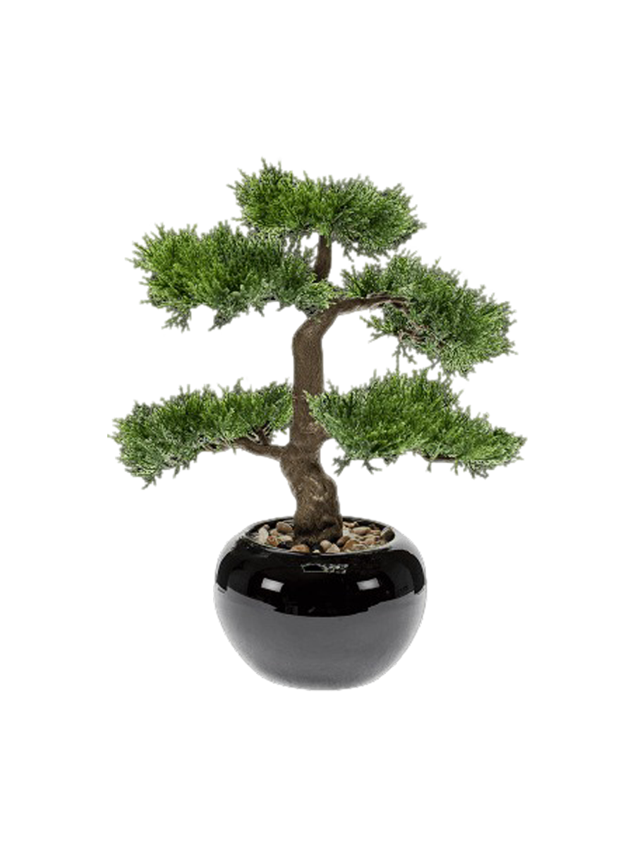 
Plante artificielle réaliste "Bonsaï Cèdre"