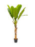 IMAGE for product variant SKU 8EE422376