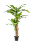 IMAGE for product variant SKU 8EE422379