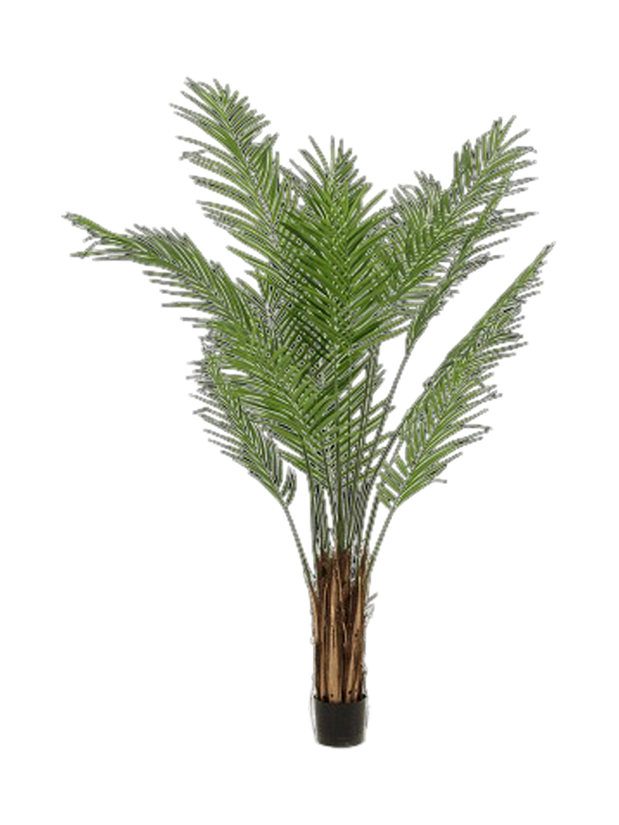 
Pianta artificiale dall'aspetto realistico «Areca Bush», diverse dimensioni - Ø 55 x 180 cm