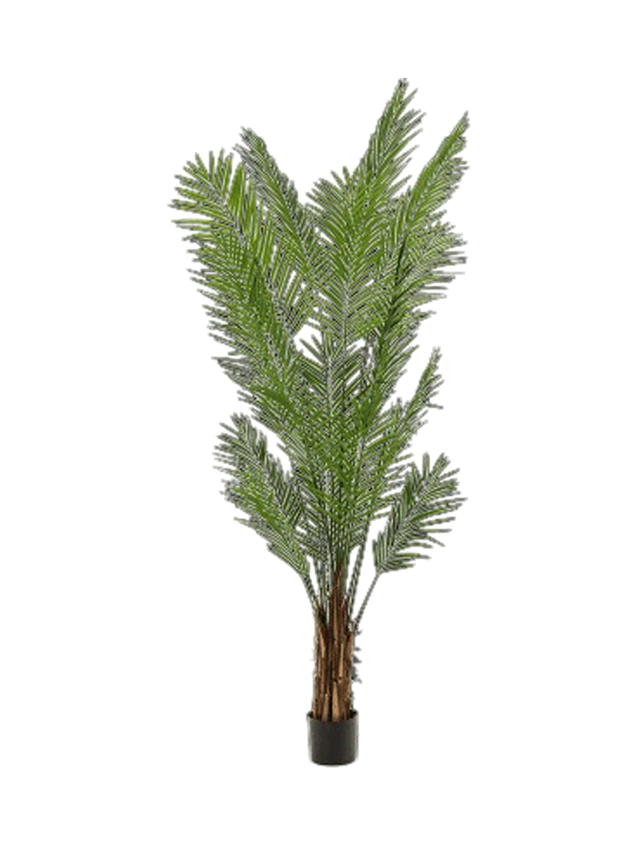 
Pianta artificiale dall'aspetto realistico «Areca Bush», diverse dimensioni - Ø 55 x 240 cm