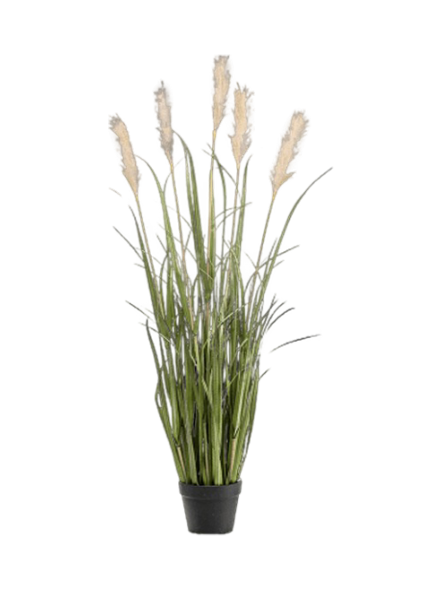 
Plante artificielle réaliste "Herbe de la Pampa", différentes tailles - Ø 35 x 130 cm