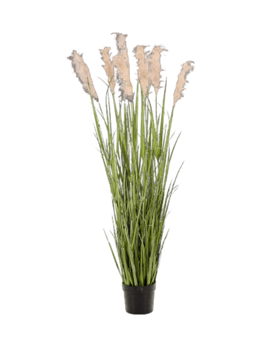 
Plante artificielle réaliste "Herbe de la Pampa", différentes tailles - Ø 45 x 175 cm