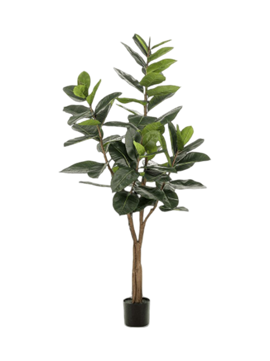 
Plante artificielle réaliste "Ficus Elastica ramifié" Ø 75 x 180 cm