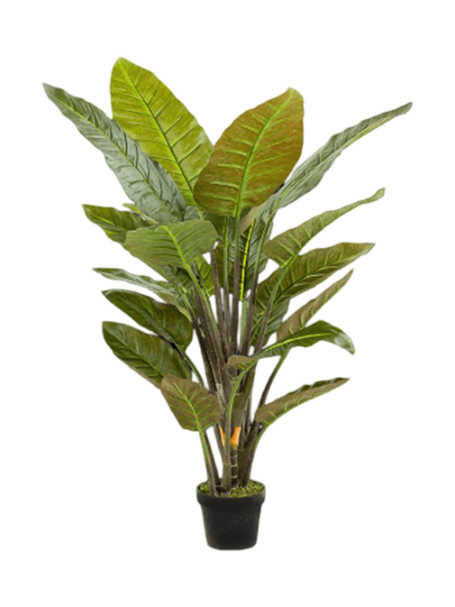 
Plante artificielle réaliste "Strelitzia Tuft", Ø 90 x 135 cm