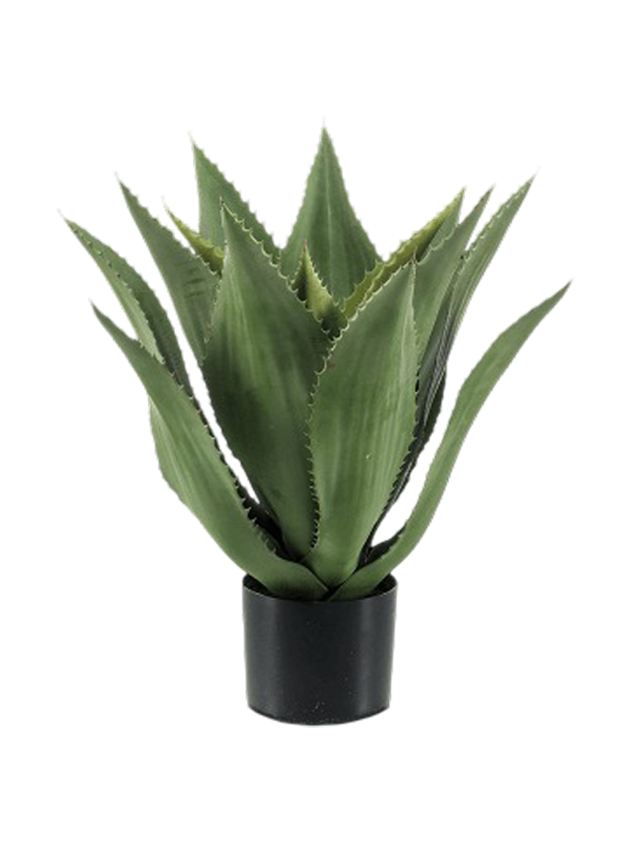 
Pianta artificiale dall'aspetto realistico «Agave Tree» - Altezza 55 cm