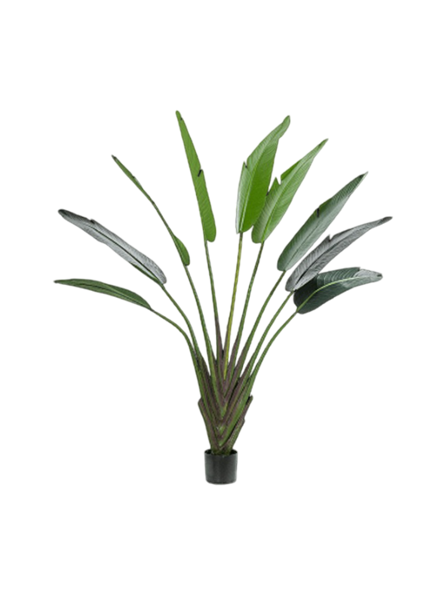 
Plante artificielle réaliste « Strelitzia Duft », Ø 140 x 180 cm