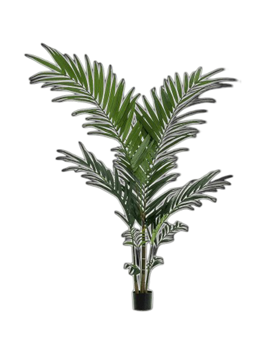 
Pianta artificiale realistica «Kentia Tuft», diverse dimensioni - Altezza 150 cm