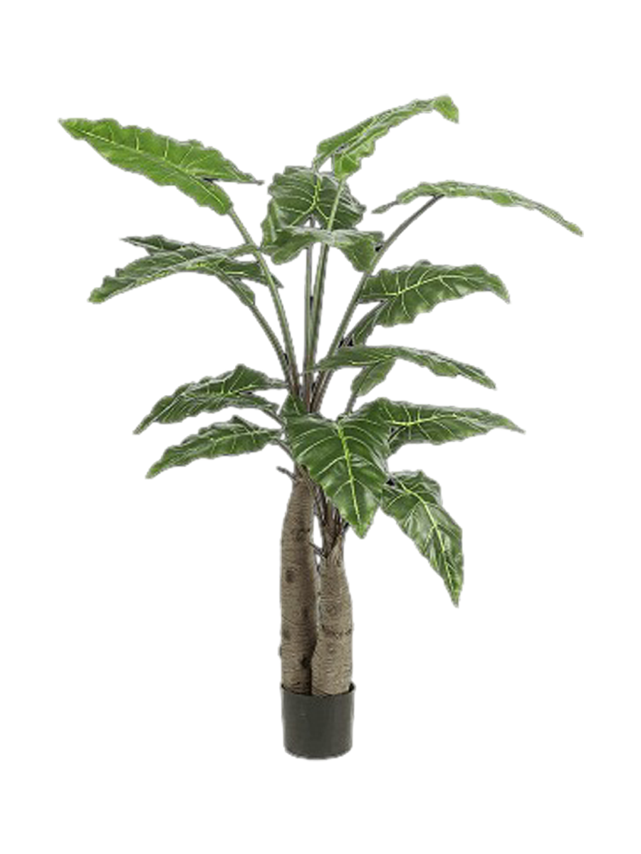
Pianta artificiale dall'aspetto realistico «Alocasia Giant Tree», Ø 110 x 150 cm