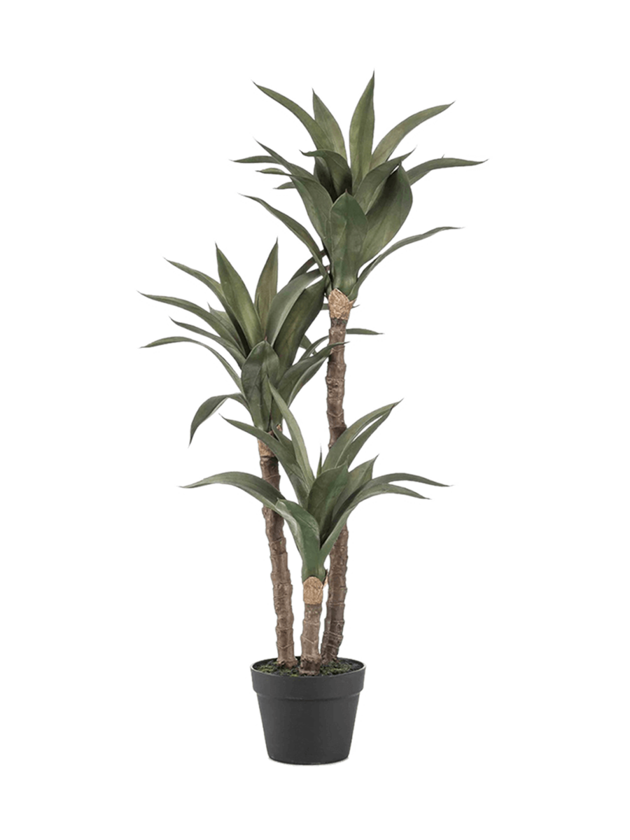 
Pianta artificiale dall'aspetto realistico «Agave in Pot», Ø 75 x 70 cm
