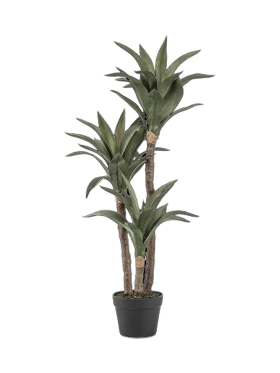
Pianta artificiale dall'aspetto realistico «Agave Tree» - Altezza 100 cm