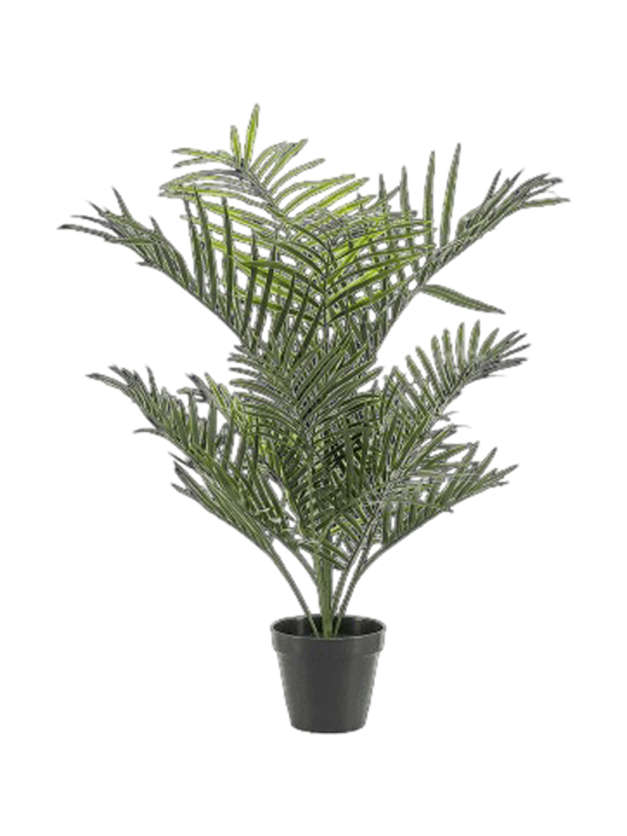 
Pianta artificiale dall'aspetto realistico «Areca Palm», 50 x 90 cm