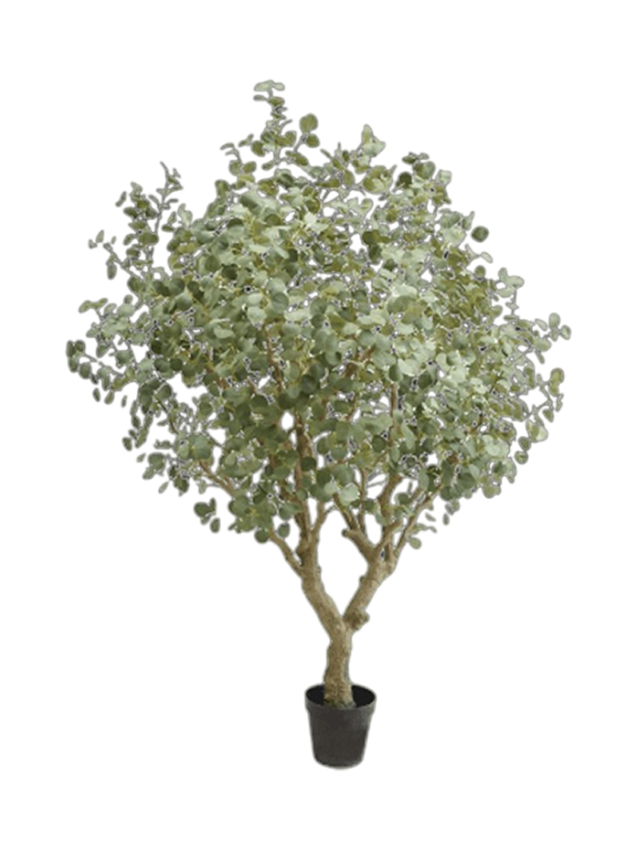 
Plante artificielle réaliste "Eucalyptus Tree XL", hauteur 240 cm
