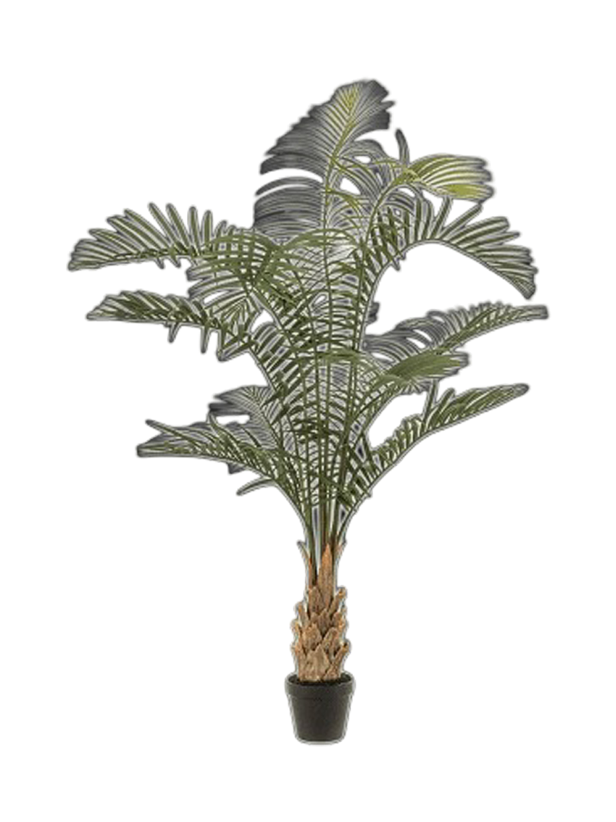 
Pianta artificiale dall'aspetto realistico «Areca Palm», 85 x 120 cm