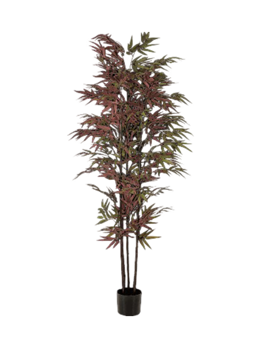 
Pianta artificiale dall'aspetto realistico «Bamboo Burgundy», altezza 180 cm