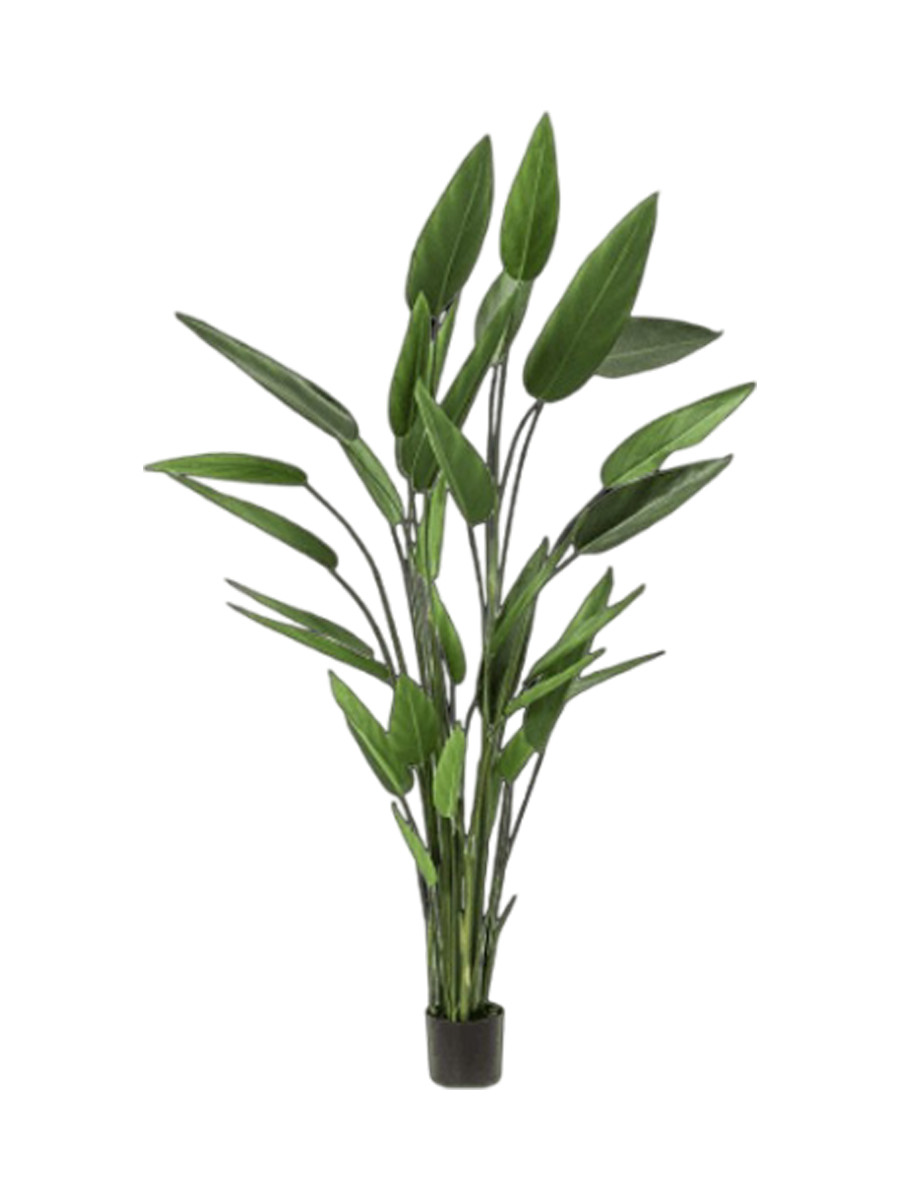 
Plante artificielle réaliste "Heliconia Tree", Ø 100 x 220 cm