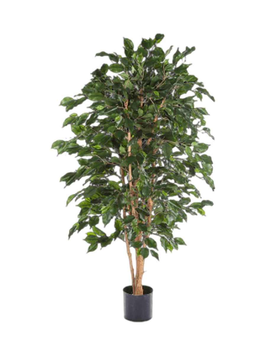 
Plante artificielle réaliste "Ficus Exotica Bush", différentes tailles - Ø 70 x 120 cm
