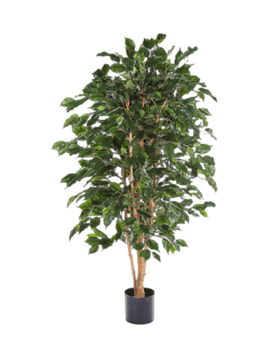 
Plante artificielle réaliste "Ficus Exotica Bush", différentes tailles - Ø 90 x 180 cm
