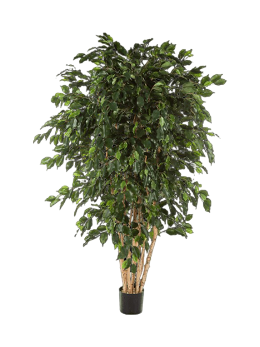 
Plante artificielle réaliste « Ficus Exotica Bush XL »
