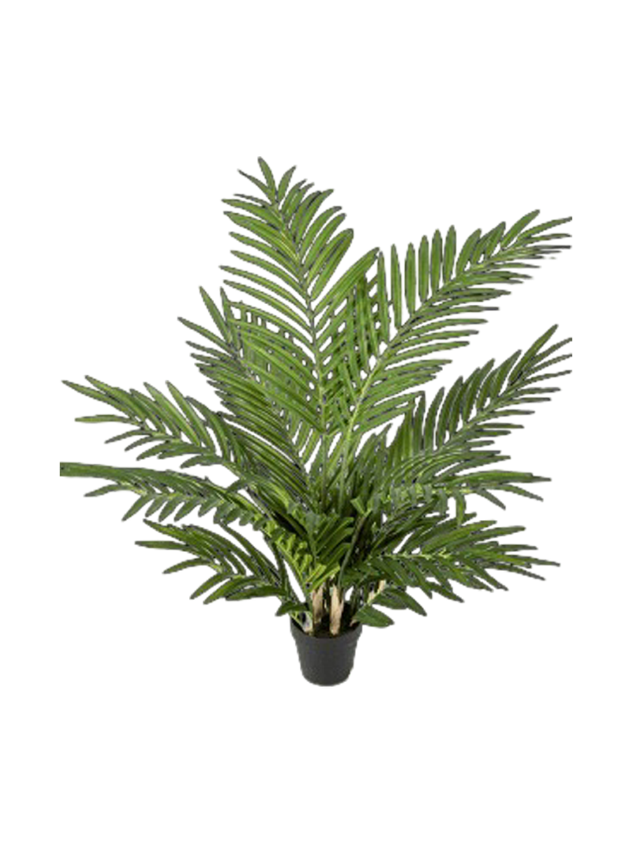 
Pianta artificiale dall'aspetto realistico «Areca Bush», diverse dimensioni - Altezza 80 cm
